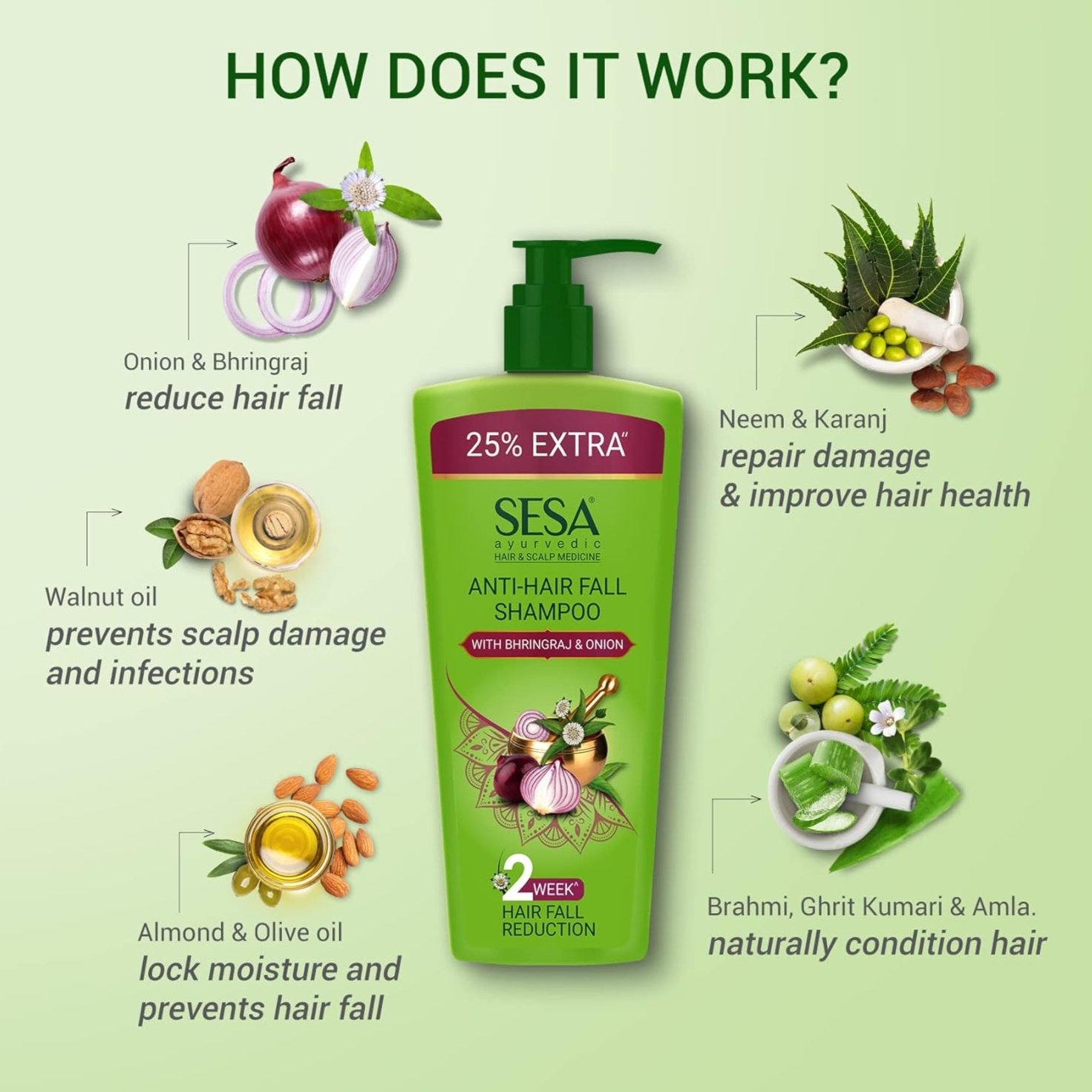 Zimba - SESA Ayurvedic Anti-Hair Fall Shampoo - Bhringraj, Onion & 6 ...